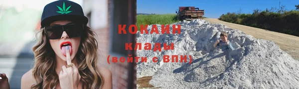 прущие грибы Армянск
