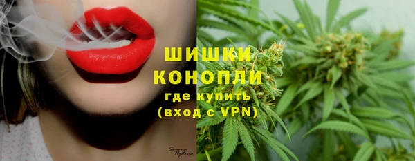 spice Арсеньев