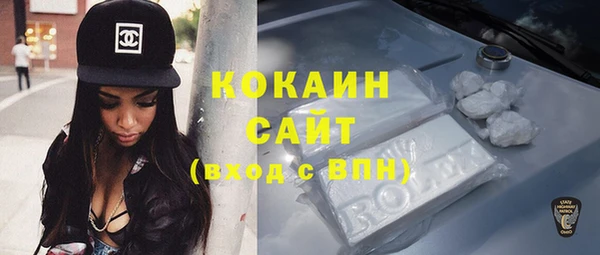 прущие грибы Армянск