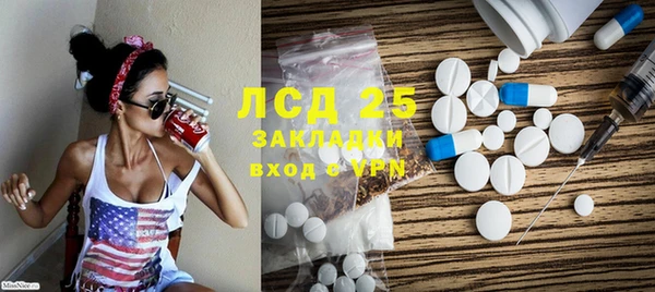 прущие грибы Армянск