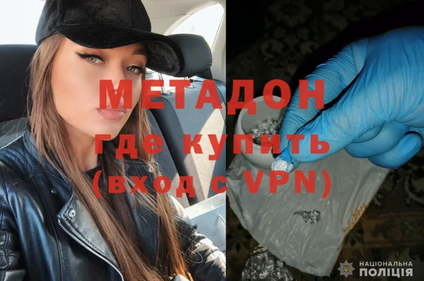 прущие грибы Армянск