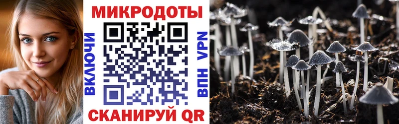 купить наркотик  блэк спрут ТОР  Галлюциногенные грибы Magic Shrooms  Бронницы 
